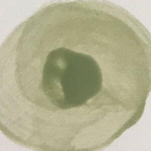 Keramikmalfarbe 79